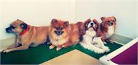daycare pic 58 - the clique